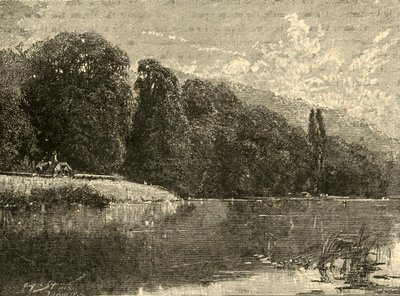 Cliefden Woods, 1898. by Unbekannt