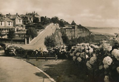 Cliff Road, Shanklin, I.W., c1920. by Unbekannt