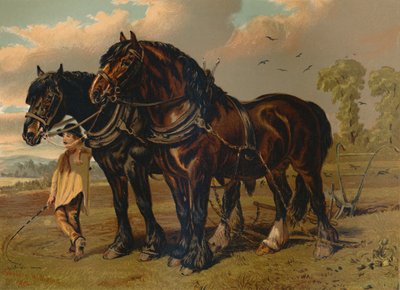 Clydesdale Aygırı ve Kısrak, c1879. by Unbekannt