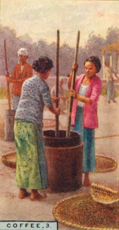 Kahve, 3. Fasulyelerin Soyulması, Java, 1928 by Unbekannt