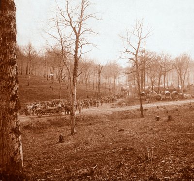 Birlik sütunu, Genicourt, kuzey Fransa, c1914-c1918 by Unbekannt