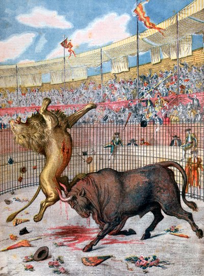 Aslan ve boğa arasındaki savaş, İspanya, 1894 by Unbekannt