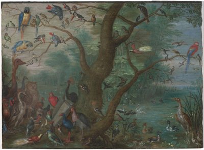 Kuşlar Konseri, 16601670. by Unbekannt