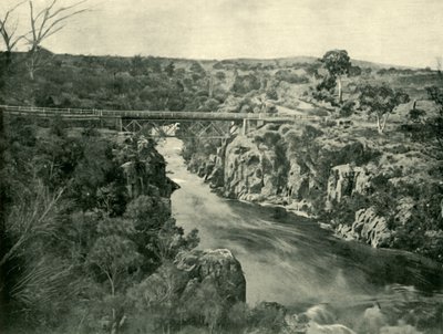 Corra Lynn, Launceston Yakınları, 1901. by Unbekannt