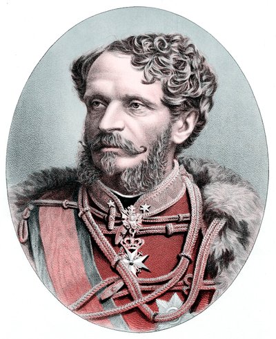 Kont Julius Andrassy 1823-1890, Macar devlet adamı, c1880 by Unbekannt