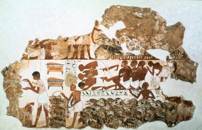 Kazları saymak: Nebamun, Thebes, Mısır, c1350 M.Ö. mezarından duvar resmi parçası by Unbekannt