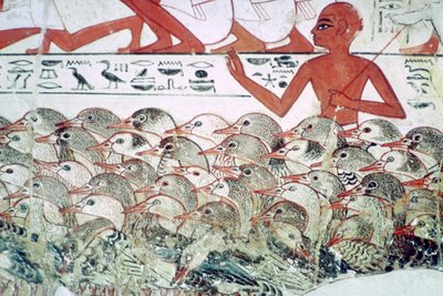 Kazları saymak: Nebamun, Thebes, Mısır, c1350 M.Ö. mezarından duvar resmi parçası by Unbekannt