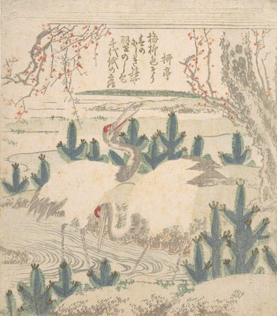 Bir Dere Yakınındaki Genç Çamlar Arasında Turnalar, ca. 1830. by Unbekannt