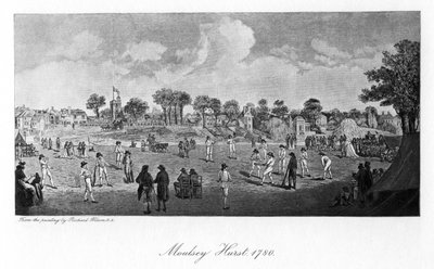 Moulsey Hurst