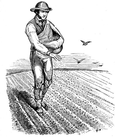 Ürün rotasyonu: ekim tohum yayını, 1855 by Unbekannt