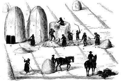 Ürün rotasyonu: tohum için harman çavdar otu, 1855 by Unbekannt