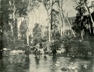 Nehri Geçerken, Buffalo Şelaleleri Yakınında, 1901. by Unbekannt