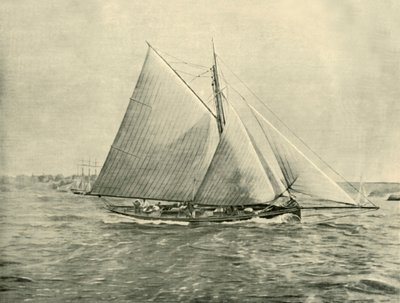 Port Jackson