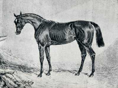 Kıbrıslı, 19. yüzyıl, 1911 by Unbekannt