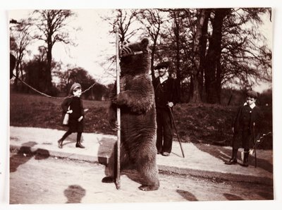 Dans eden ayı, c 1905 by Unbekannt