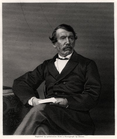 David Livingstone, İskoç misyoner ve Afrikalı kaşif, 19. yüzyıl by Unbekannt