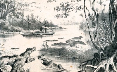 David Livingstone Zambezi