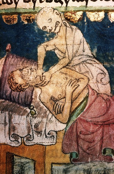 Veba Kurbanını Boğan Ölüm. Stiny Codex