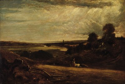 Dedham Vale--Yaz Sabahı, 19. yüzyıl. by Unbekannt