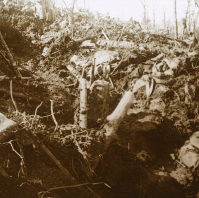 Yok edilen sığınak, Les Éparges, kuzey Fransa, 1915. by Unbekannt