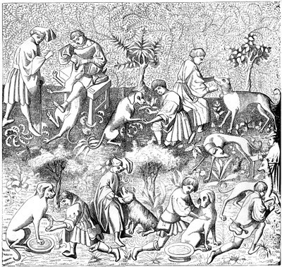 Köpek hastalıkları ve tedavileri, 14. yüzyıl 1849 by Unbekannt