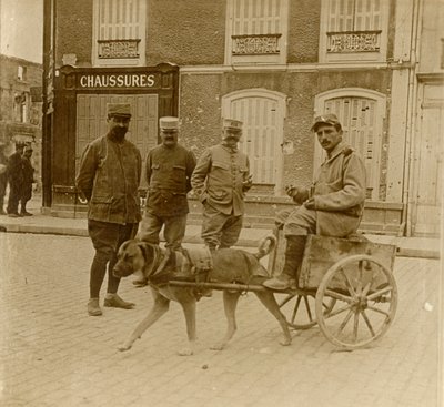 Köpek arabası, Fransa, c1914-c1918 by Unbekannt