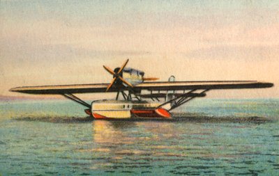 Dornier Wal uçan tekne, 1920