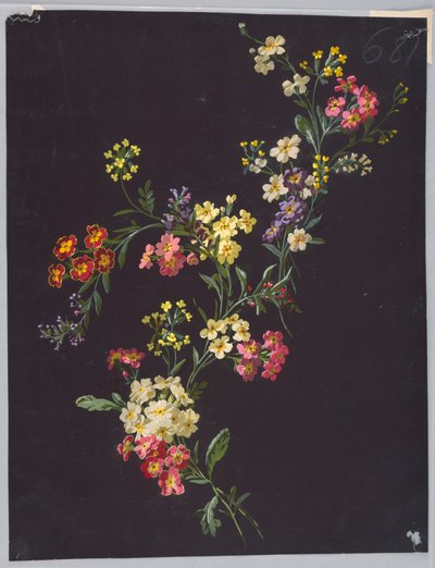 Saint Germain