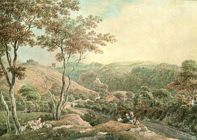 Drysllwyn Şatosu, Carmarthenshire, c1900. by Unbekannt
