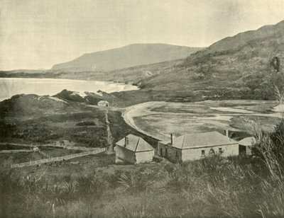 Kartal-Şahin Boynu, Tasman Yarımadası, 1901. by Unbekannt