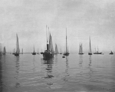 New York Körfezi