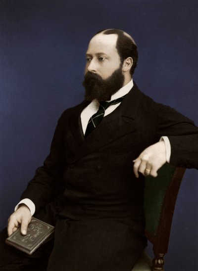 Edward VII, ardından Galler Prensi, 1876 by Unbekannt