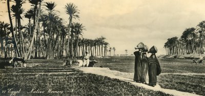 Mısır - Yerli Kadınlar, c1918-c1939. by Unbekannt