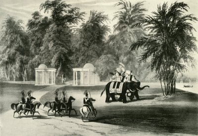 Barrackpore Park'ta Filler ve Koruma, 1820, 1925. by Unbekannt