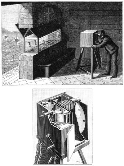 Etienne Jules Marey 1830-1903, sinema kameralı, 1903 by Unbekannt