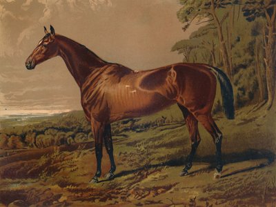 Adil Nell, c1879. by Unbekannt