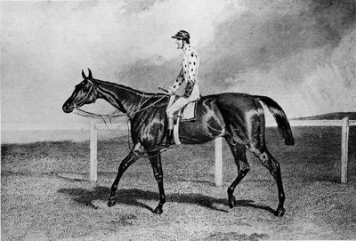 Fandango, 19. yüzyıl, 1911 by Unbekannt