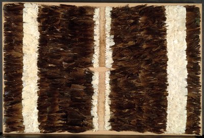 Tüylü Tabard veya Tunik, 600-1500. by Unbekannt