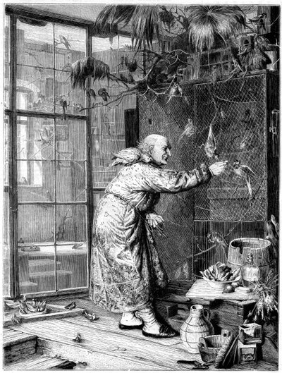 Evcil hayvanları beslemek, 1880 by Unbekannt