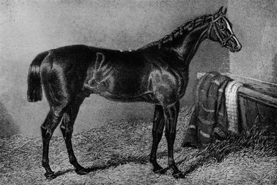 Orospu çocuğu, 1812-1835, 1911 by Unbekannt