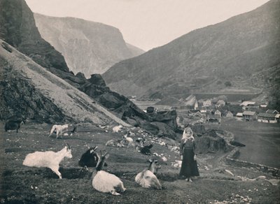 Flaman, 1914. by Unbekannt