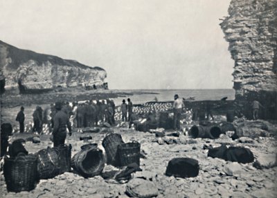 Flamborough - Balıkçılar İş Başında, 1895 by Unbekannt