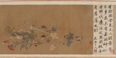 Çiçekler, meyveler, kabuklar ve böcekler, 1368-1644. by Unbekannt