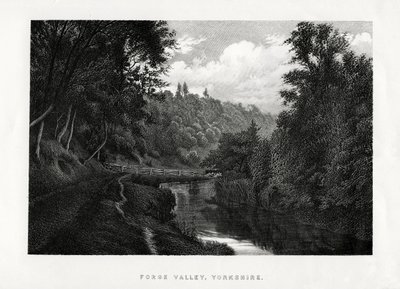 Forge Vadisi, Yorkshire, 1896 by Unbekannt