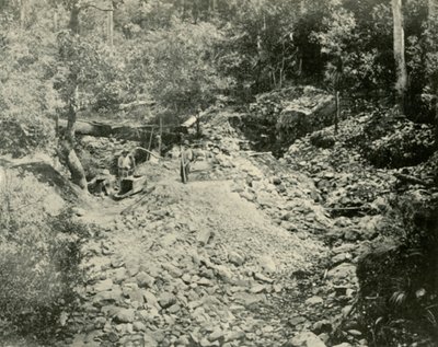 Fossickers İş Başında, 1901. by Unbekannt