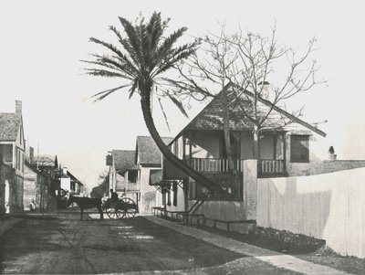 Francis Caddesi, St Augustine, ABD, 1895. by Unbekannt