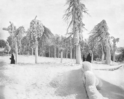 Prospect Park
