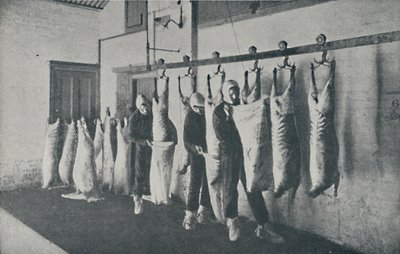 Dondurulmuş Et, 1910 by Unbekannt