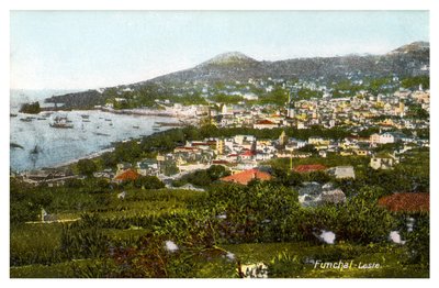 Funchal, Madeira, 20. yüzyılın başlarında by Unbekannt