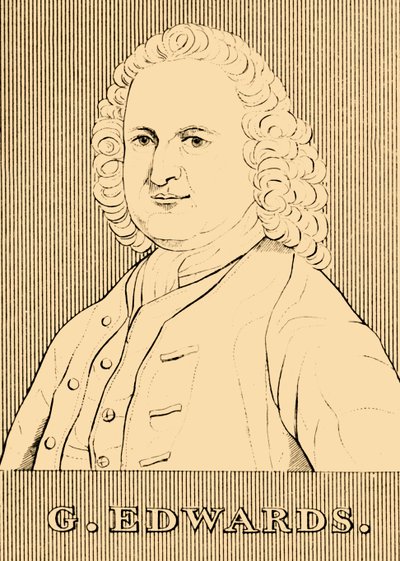 G. Edwards, 1694-1773, 1830. by Unbekannt